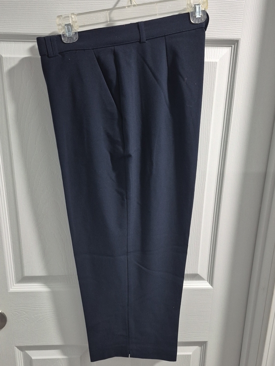 Investments Pants - Investments Women's Navy Dress Capris Pants - Tailored Pleat Front